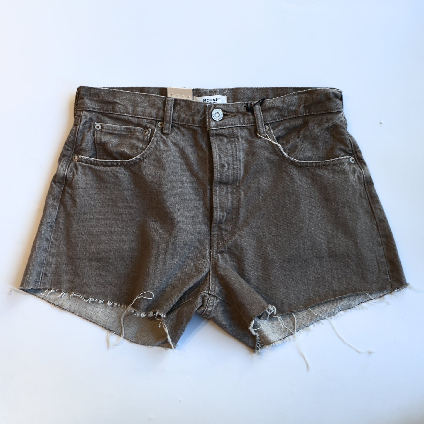 MOUSSY VINTAGE LAKESHORE SHORTS