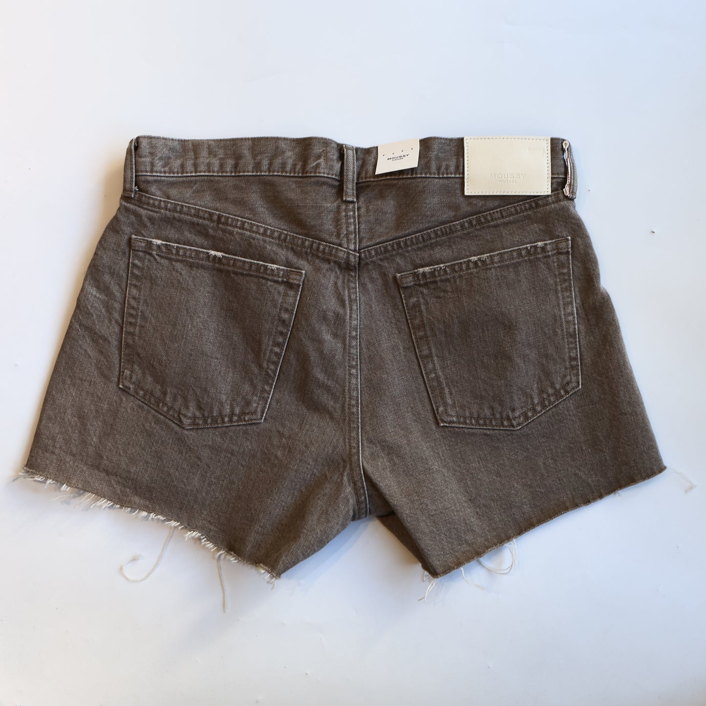 MOUSSY VINTAGE LAKESHORE SHORTS